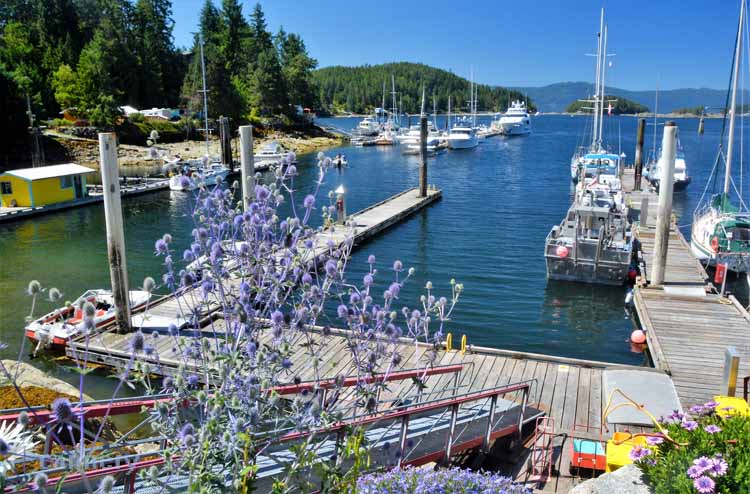 harbor scene